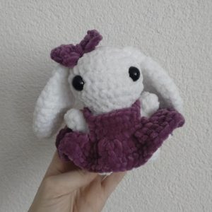Lapin avec robe