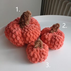 Courge n°2 orange foncée moyenne