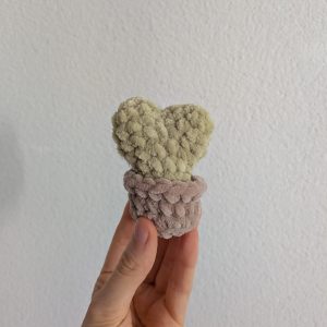 Mini plante coeur pot brun clair