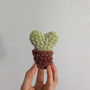 Mini plante coeur pot brun foncé