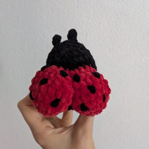 Coccinelle