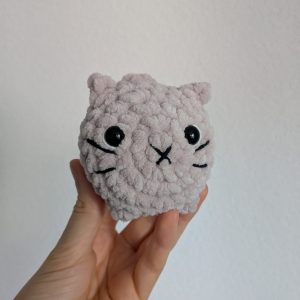 Petit chat